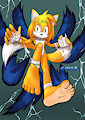Mage Warrior Tails