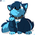 Cloufy (Pupper) by Cloufy