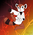 Karate cub.