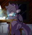 NightlyWinter by MaehDoggie by NightlyWinter