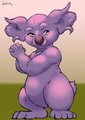 purple Koala