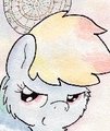 Coolness 204