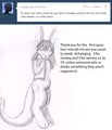 new tumblr (link)