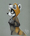 Panda Panda by pandapaco