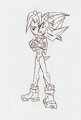 2006 Fem Shadow