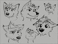 aster and david doodles