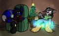 Stocking Cocoa