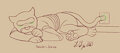 ‘Sleeping’ Fizzles, by Webster