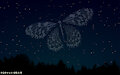 Starlight Nightsky Butterfly