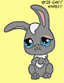 LPS 14 Grey Rabbit