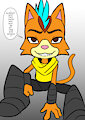 Little Cato