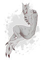 Patreon freebies