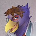 Falco-Ni-Forming by PheagleAdler