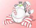 a cute little fox with his diapers