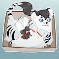 [C] WhiteLion