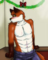 So Who's Going To Kiss Me Under The MistleToe?