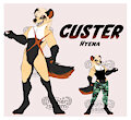 Custer Reference
