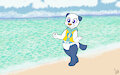 Run Along the Shore -By NazzNikoNanuke-