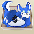 [C] Ragnar_the_ninth