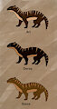 Rinelo and Morida's Litter by ShamanSquirrel
