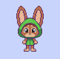 Pixel Bnuy
