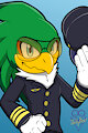 Jet the pilot