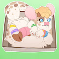 [C] Dimitri