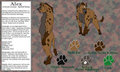 Alex - 2013 Character Sheet