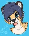 AcerFace by AcerPaws