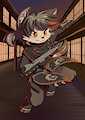 Assassin by minum