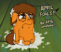 April Fools Venus