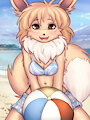 Eevee's vacation