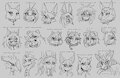[Sketches] Collar Gang