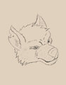 Dog Face by Dlweedo