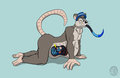 Commission Stream - Osmosis