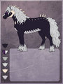 CM - Necrohorse by Doroshevae