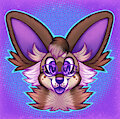 Jordan Headshot