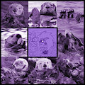 Edolie Mood Board - Sea Otter by ChthonicDelirium