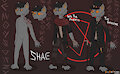 Shae Outfit