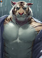 Rain by Anhes