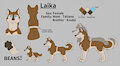 Laika 2023 reff