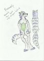 Firewolf ref sheet