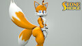 Tails Photoshoot by StoneHedgeART