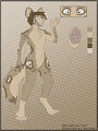 Kory the Wild Dog by Diamondog16