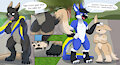 Foxes aren't stinky (Fennec Transformation)