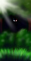 Mystery in the woods