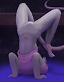 Second Stance