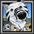 Tygerwolfe 2013 Icon - Curiosity