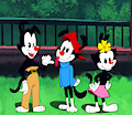 The Troublesome Trio