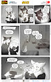 Cats n Cameras 643 - Which ones yours?